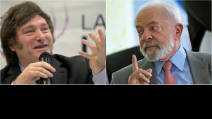 Governo confirma ausência de Lula na posse de Milei
