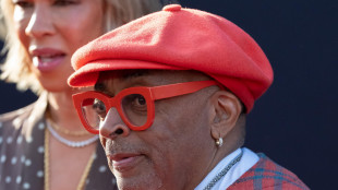 Insulti alla Palestina, rissa sfiorata allo stadio tra Spike Lee e uno spettatore