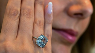 Raro diamante azul foi leiloado por US$21,5 milh&otilde;es em Genebra