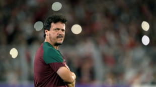 Presidente do Fluminense diz que clube ser&aacute; 'prioridade' de Diniz
