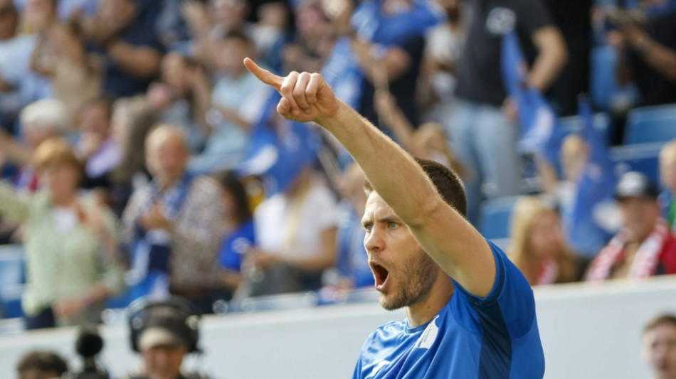 Spieler des Tages: Andrej Kramaric (TSG Hoffenheim)