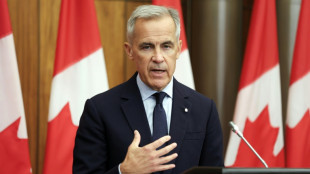 Kanadas Premier Carney am ukrainischen Unabh&auml;ngigkeitstag zu Besuch in Kiew