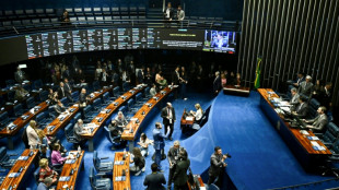 Brazil ratifies EU-Mercosur trade deal
