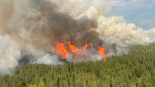 Pr&egrave;s de six millions d'hectares br&ucirc;l&eacute;s par les feux de for&ecirc;t au Canada