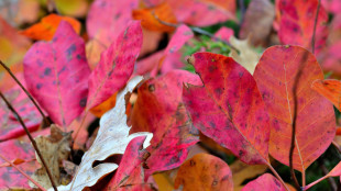 Estate agli sgoccioli, arriva l'equinozio d'autunno