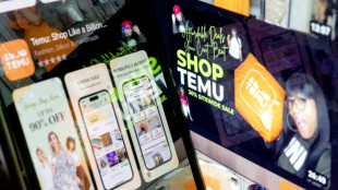 Temu, la plateforme entre Amazon et Shein &agrave; la croissance fulgurante