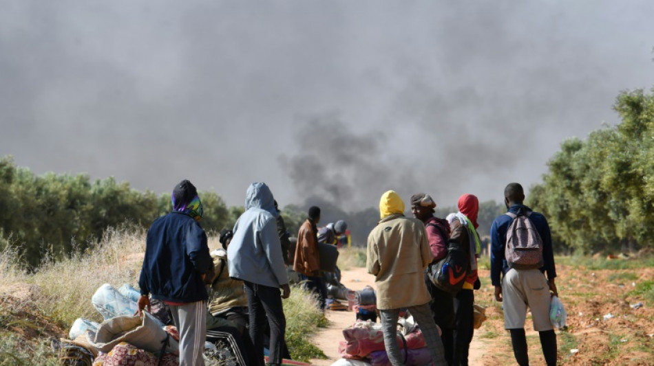 Chass&eacute;s des oliveraies tunisiennes, des migrants dans les limbes