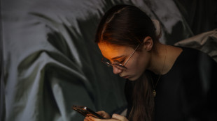 Dal 1 novembre in Turchia vietato l'uso dei social ai minori di 15 anni