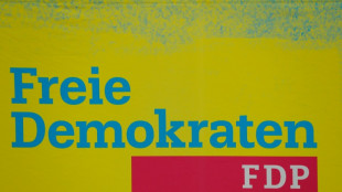 FDP Baden-W&uuml;rttemberg k&uuml;rt Landeschef R&uuml;lke zu Spitzenkandidat f&uuml;r Landtagswahl