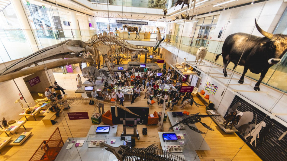 Pi&ugrave; di 5 milioni di visitatori al Muse nel 2024