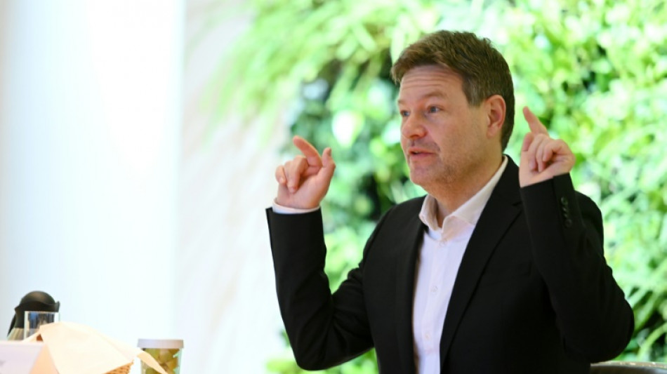 Gr&uuml;ne hoffen auf schnelles Ende der Ermittlungen wegen Vorstands-Boni