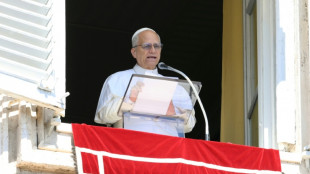 El papa Le&oacute;n XIV expresa su solidaridad con "la tierra martirizada" de Gaza