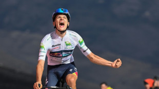 Pellizzari takes Vuelta stage 17 honours