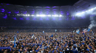 Viele Schwerverletzte nach HSV-Aufstieg