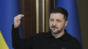Zelensky, 'pronti a rispettare la tregua, se funziona va estesa'