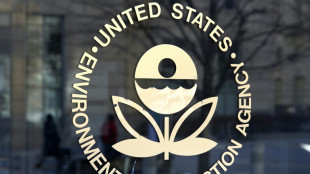 US environment agency axes nearly a quarter of workforce