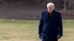 Trump minaccia dazi 200% su vino e champagne francesi, 'nessuno vuole Macron'