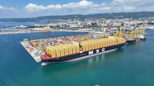 Via a nuovo servizio Dragon MSC, Porto Trieste &egrave; nella 'rotazione'