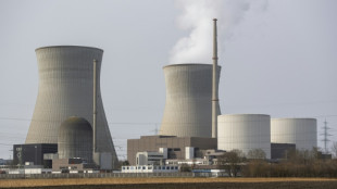 Rund 20 Staaten rufen in Dubai zu Ausbau von Atomkraft auf