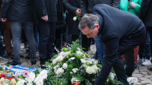 Berlino, 'l'attentatore di Magdeburgo &egrave; islamofobo'