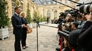 Le Pen pide elecciones "ultrarr&aacute;pidas" en Francia si cae el gobierno