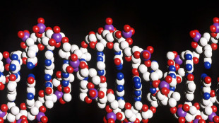 Il Dna svela come il crollo dell'Impero romano ha plasmato la societ&agrave; europea