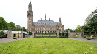 ICJ backs E.Guinea in spat with Gabon over oil-rich islands