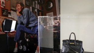 Primeira bolsa Birkin é leiloada por R$ 55 milhões