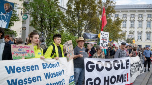 En Autriche, la fronde contre le centre de donn&eacute;es de Google