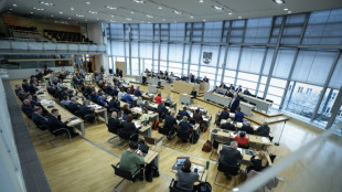 Vor Landtagswahl in Sachsen-Anhalt: Parlamentsreform soll Macht von AfD begrenzen