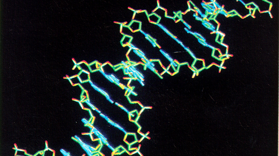 Tumori, accertata la superiorit&agrave; delle terapie personalizzate