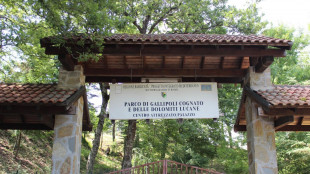 Tracciabilità satellitare su tre cicogne nere nate in Basilicata