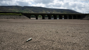 Over half of Europe and Mediterranean bassin hit by drought in mid-May