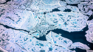 Climat: la Russie pourrait avoir accéléré la transition énergétique de la planète malgré elle