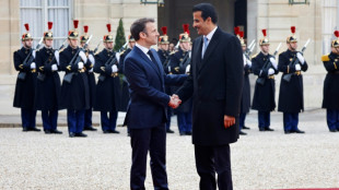 L'émir du Qatar entame une visite d'Etat en France
