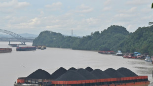 OECD: Subventionen f&uuml;r fossile Energietr&auml;ger steigen drastisch