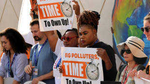 COP28: confiants ou inquiets, les négociateurs se penchent sur les énergies fossiles