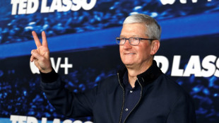 Apple attendu dans la course ralentie au m&eacute;tavers