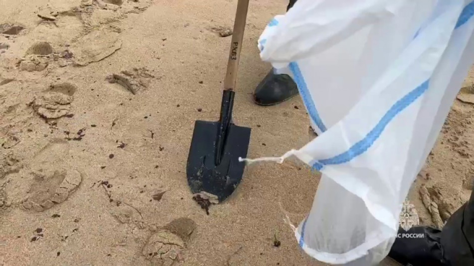 M&aacute;s de 30 cet&aacute;ceos muertos tras el derrame de petr&oacute;leo ruso en el mar Negro