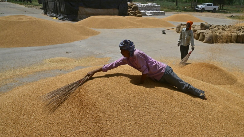 Economia global crescer&aacute; 2,8%, pressionada pelas tarifas de Trump, prev&ecirc; o FMI