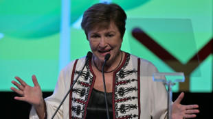 FMI lan&ccedil;a processo de escolha de seu novo diretor-geral