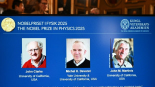 Le Nobel de physique récompense un trio pour la découverte de "l'effet tunnel" dans la mécanique quantique 