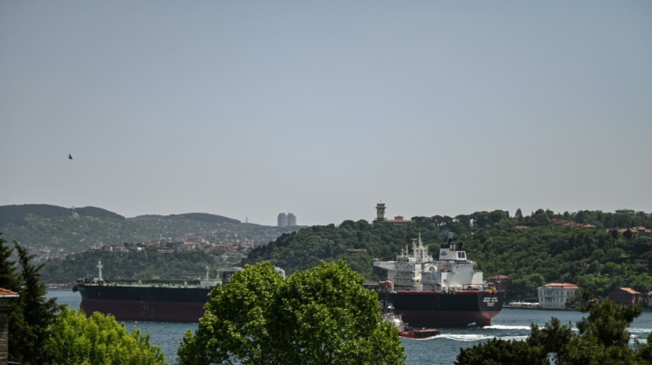 Pese a la guerra, siguen los negocios y el comercio en el B&oacute;sforo