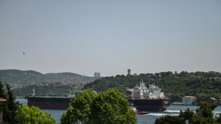 Pese a la guerra, siguen los negocios y el comercio en el B&oacute;sforo