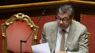 Giorgetti, manovra delineata, venerd&igrave; i particolari