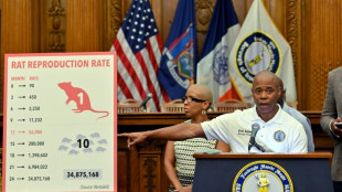 Die Rattenf&auml;ngerin vom Big Apple