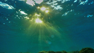 Les temp&eacute;ratures record des oc&eacute;ans ne refl&egrave;tent pas une acc&eacute;l&eacute;ration du r&eacute;chauffement, selon une &eacute;tude