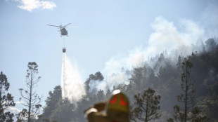 Incêndio devasta quase 600 hectares de parque nacional da Argentina