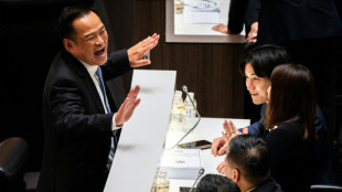 Tha&iuml;lande: le magnat Anutin Charnvirakul &eacute;lu Premier ministre par le Parlement