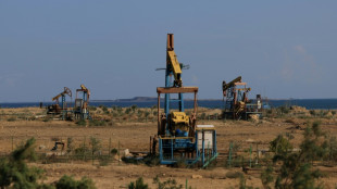 Gas booming for UN COP29 host Azerbaijan